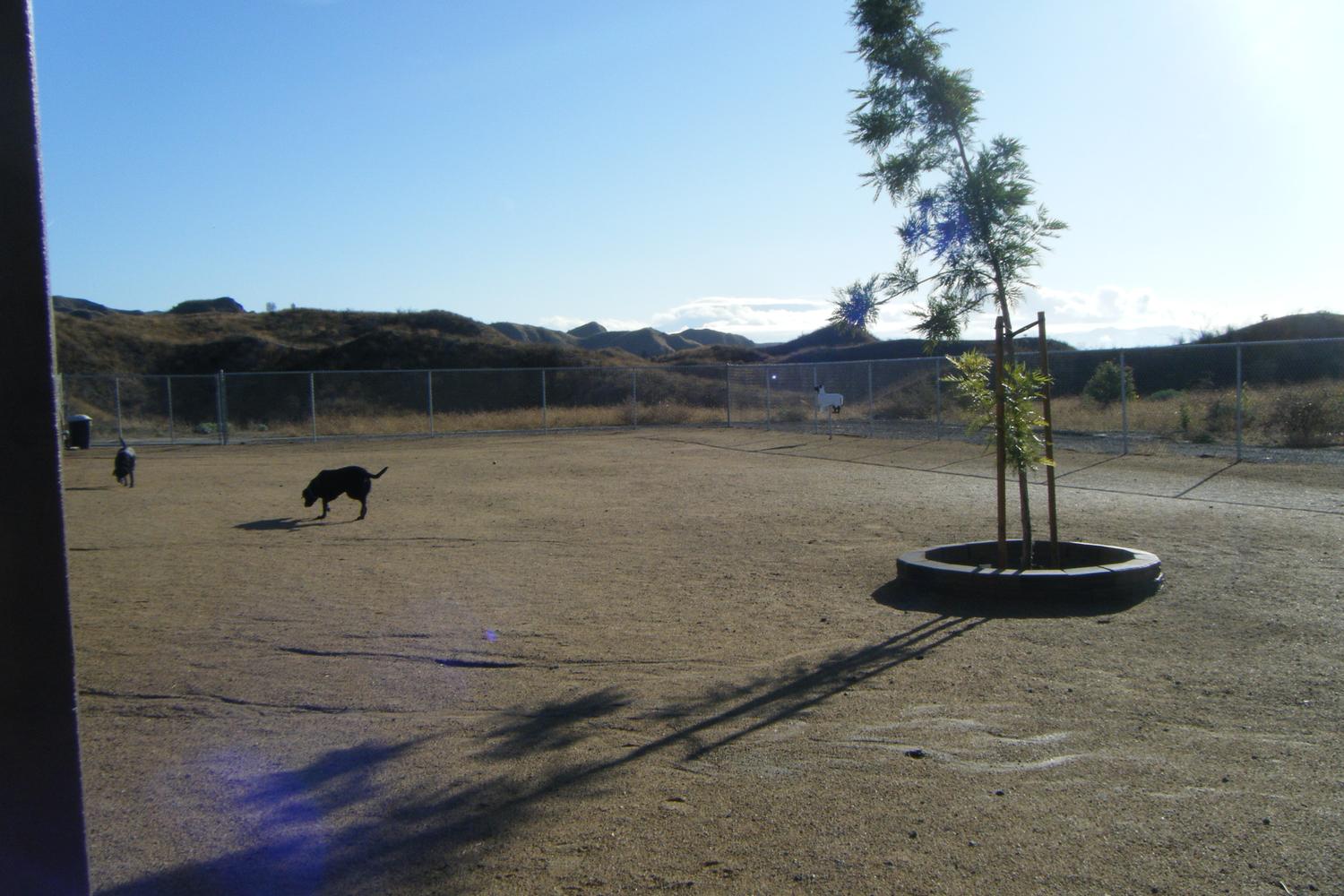 Hound Town Dog Park 0