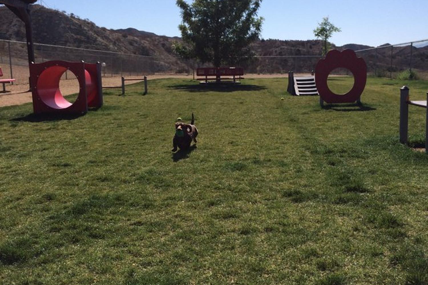 Hound Town Dog Park 3