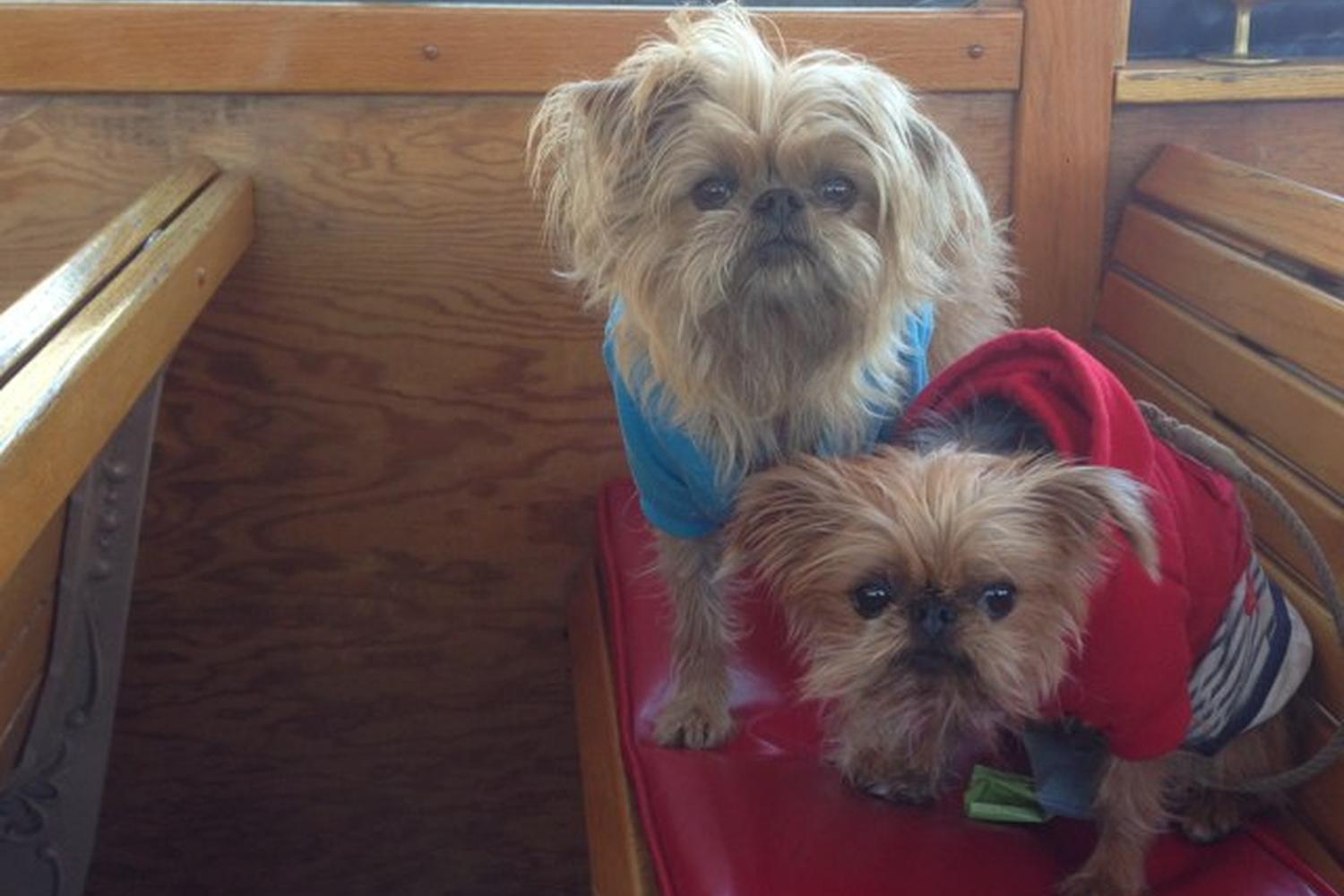 Historic Gray Line Asheville Trolley Tours 0