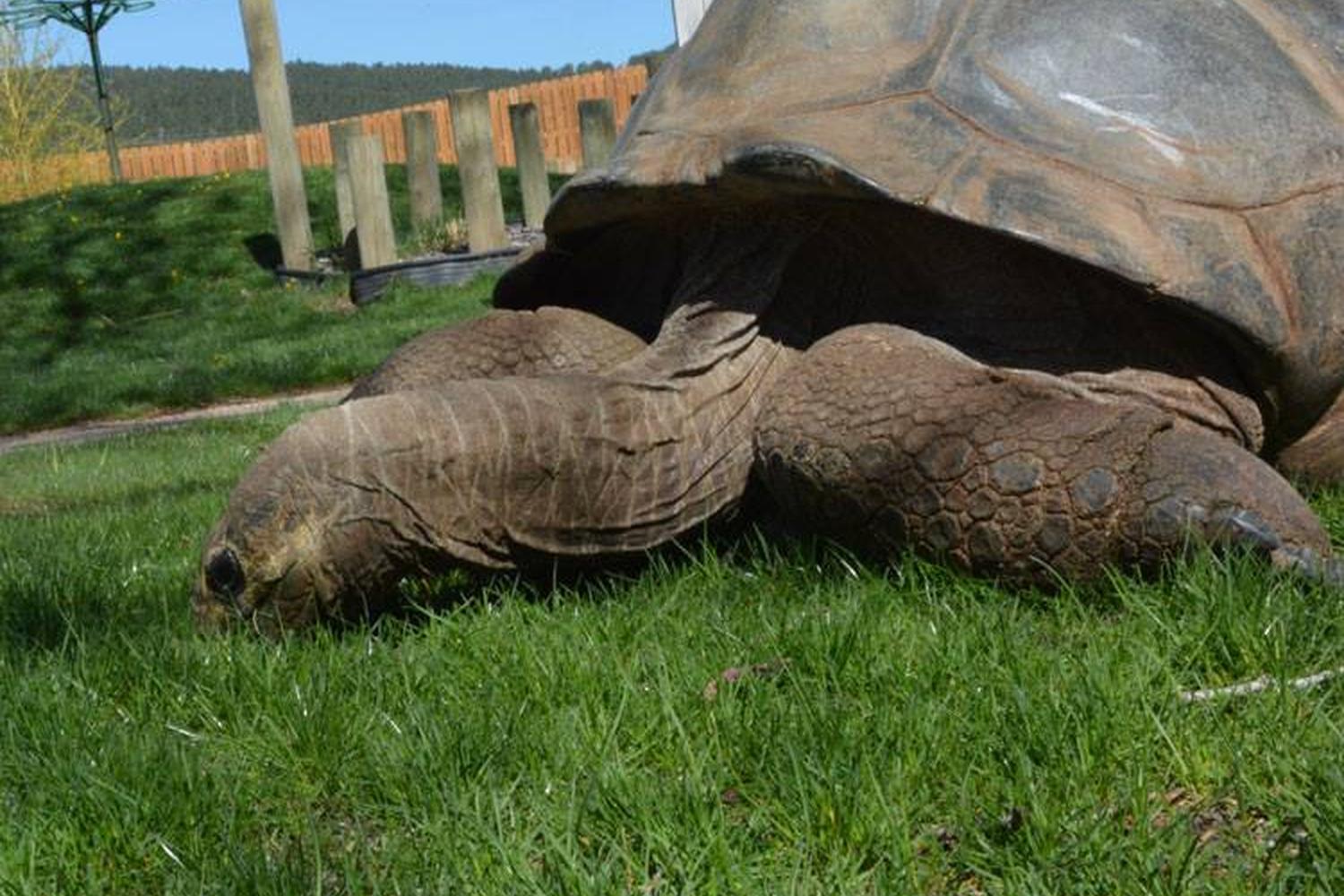 Reptile Gardens 3