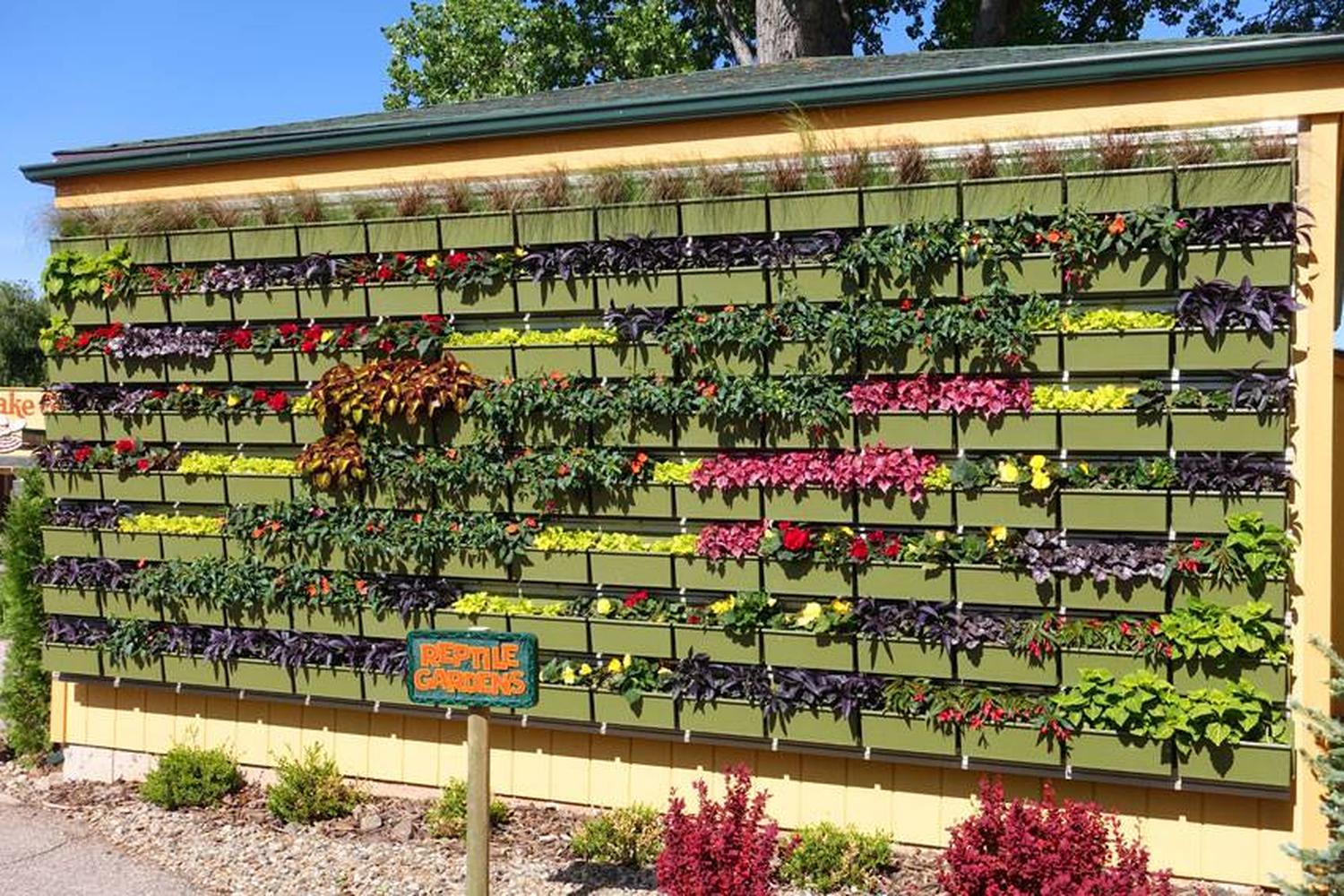 Reptile Gardens 1