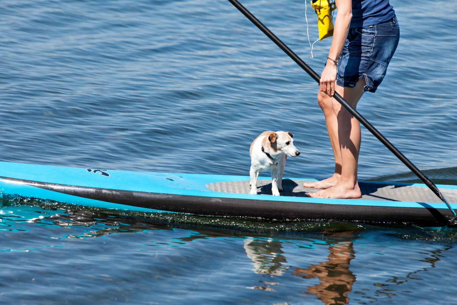 Hook, Line & Paddle 3