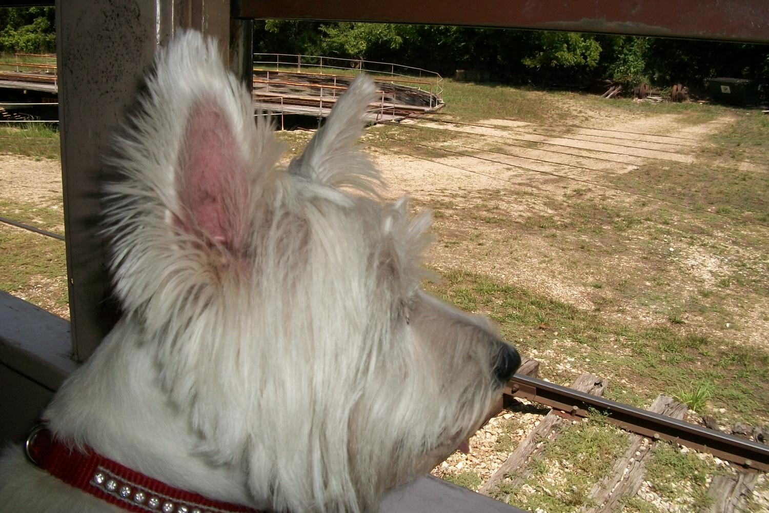 Eureka Springs & North Arkansas Railway 3