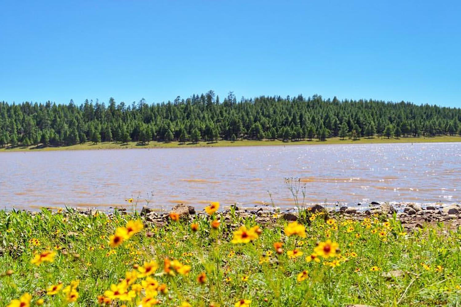 Upper Lake Mary 4