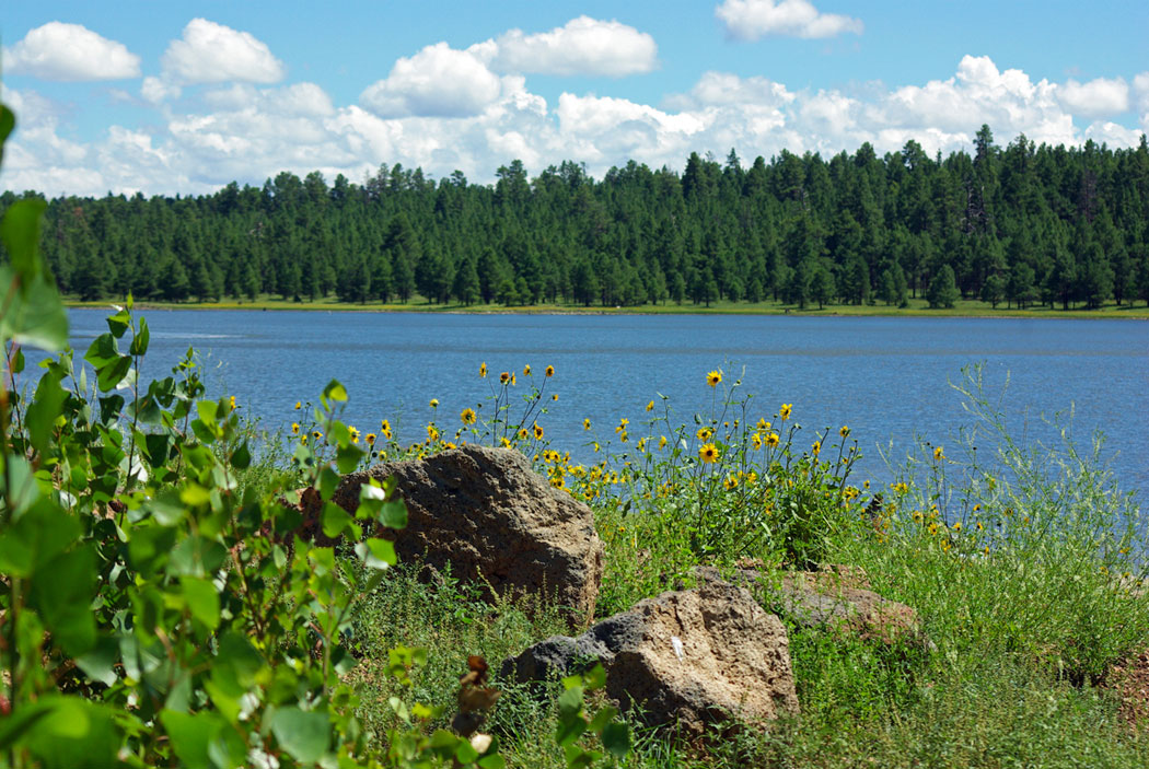Upper Lake Mary 7