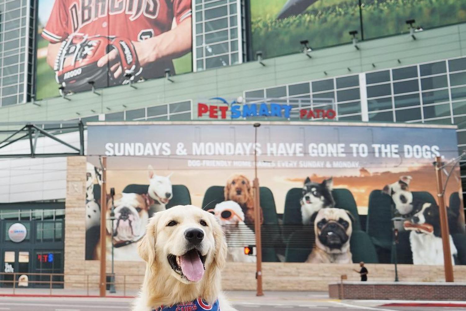 PetSmart Charities Park at Chase Field 2