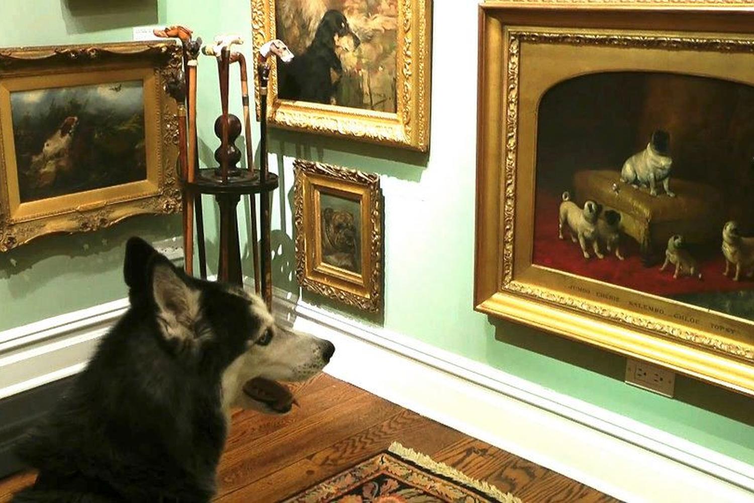 William Secord Gallery 4