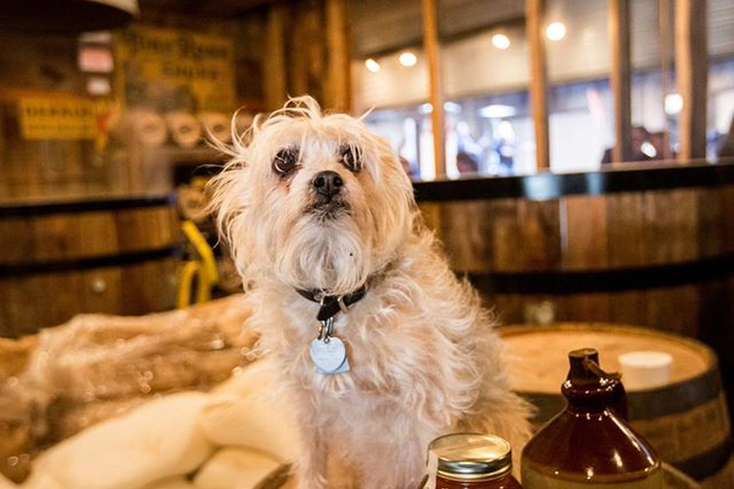 Ole Smoky Moonshine Barn 3
