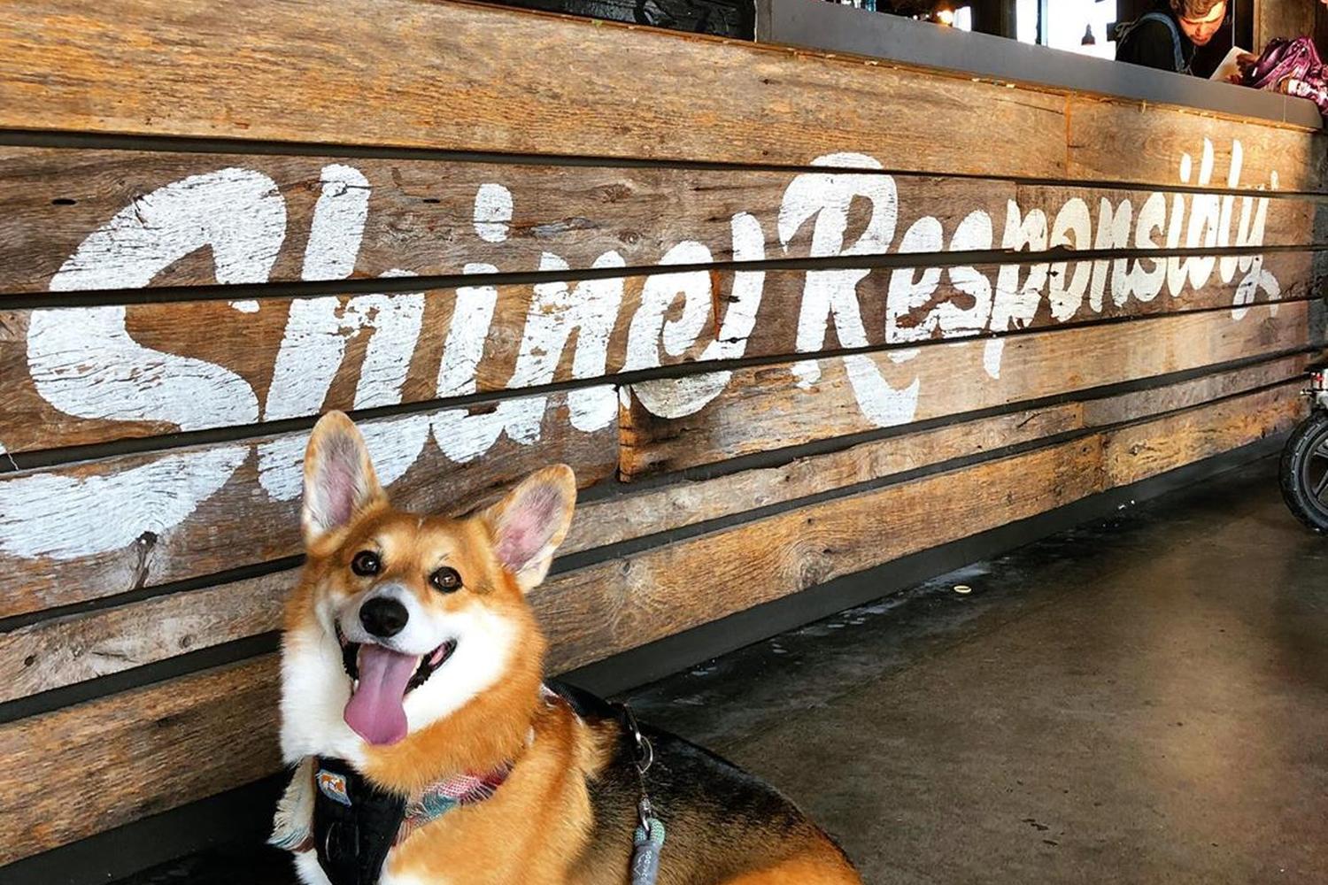 Ole Smoky Moonshine Barn 4