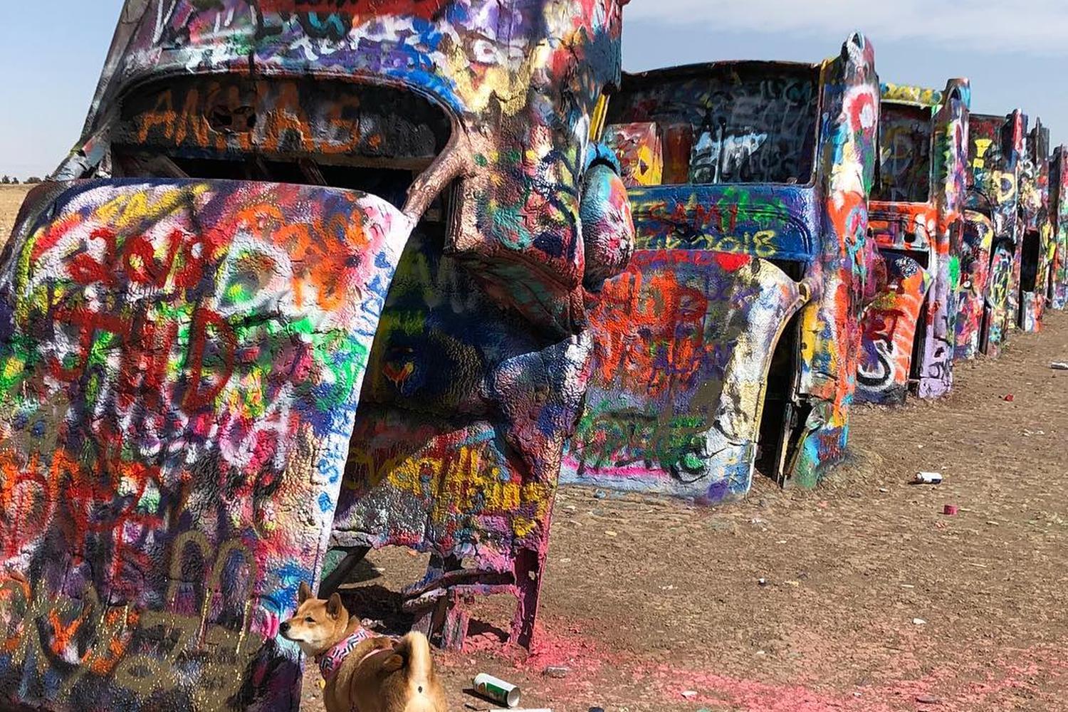 Cadillac Ranch 5