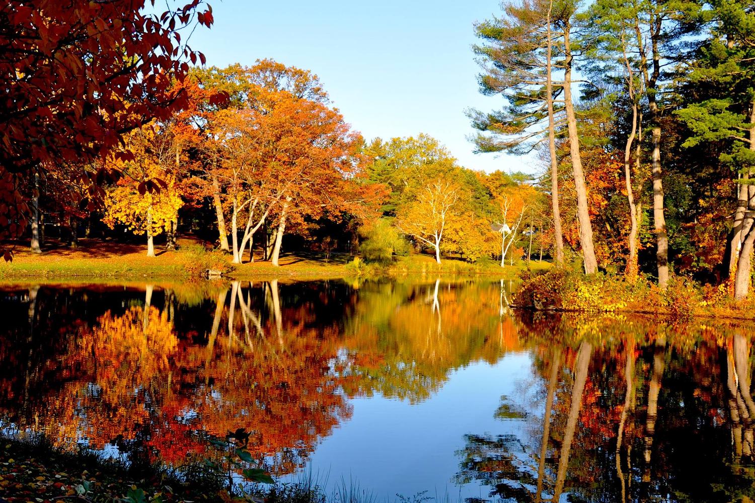 Mead Memorial Park 4