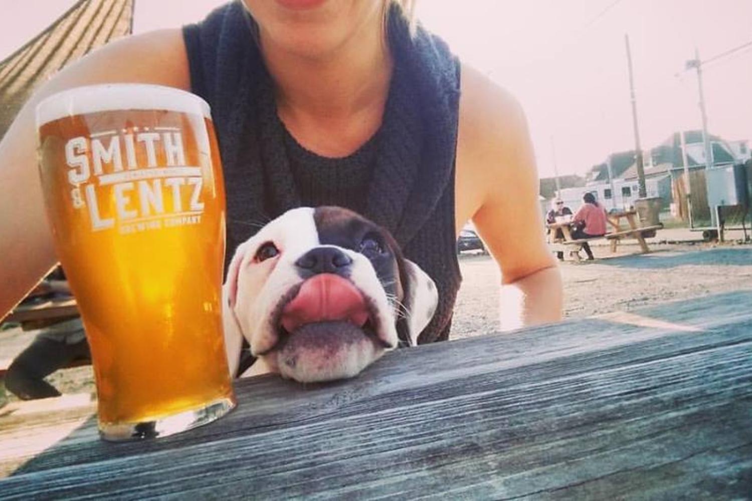 Smith & Lentz Brewing Company 0