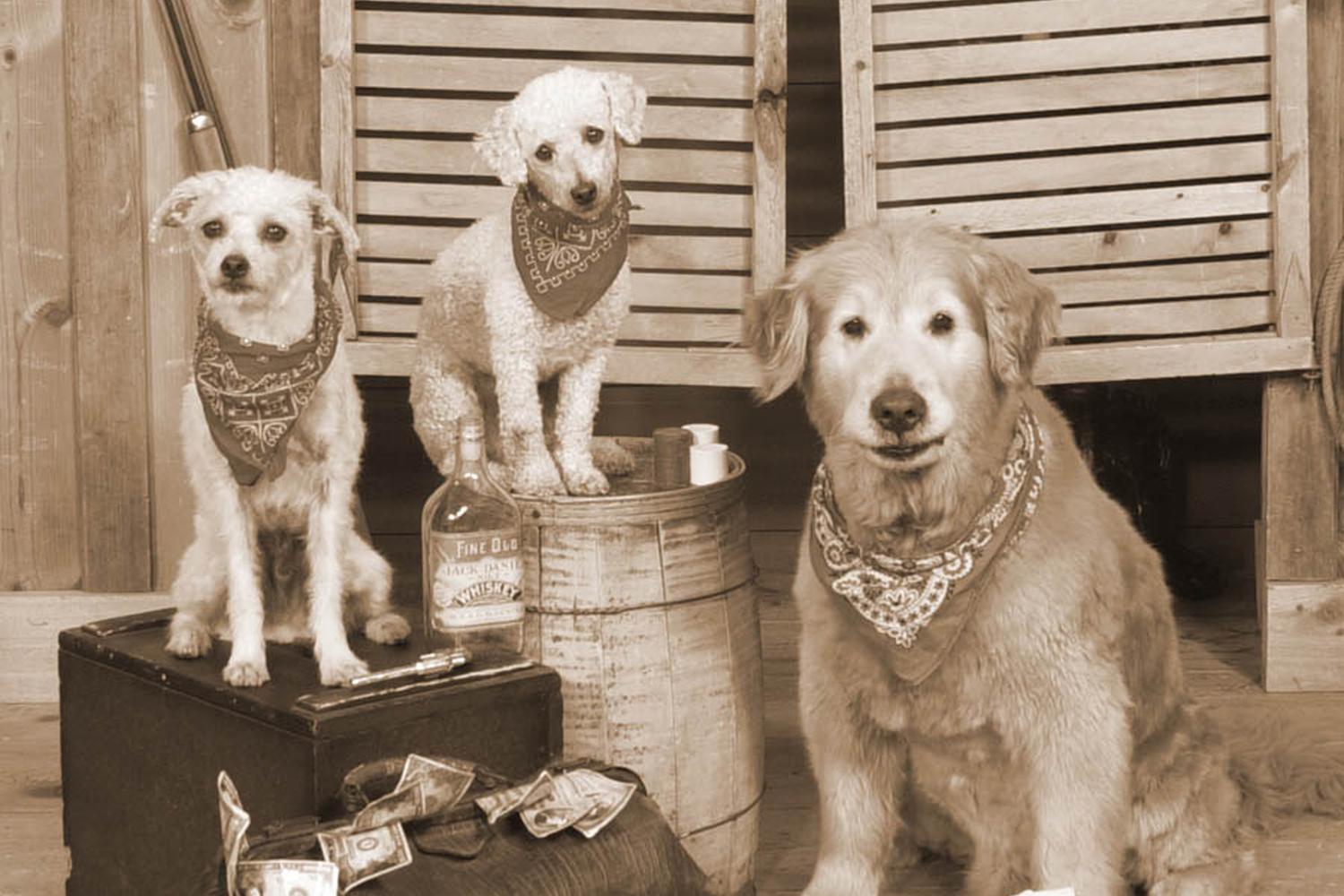 Jackson Hole's Old Time Photos 0
