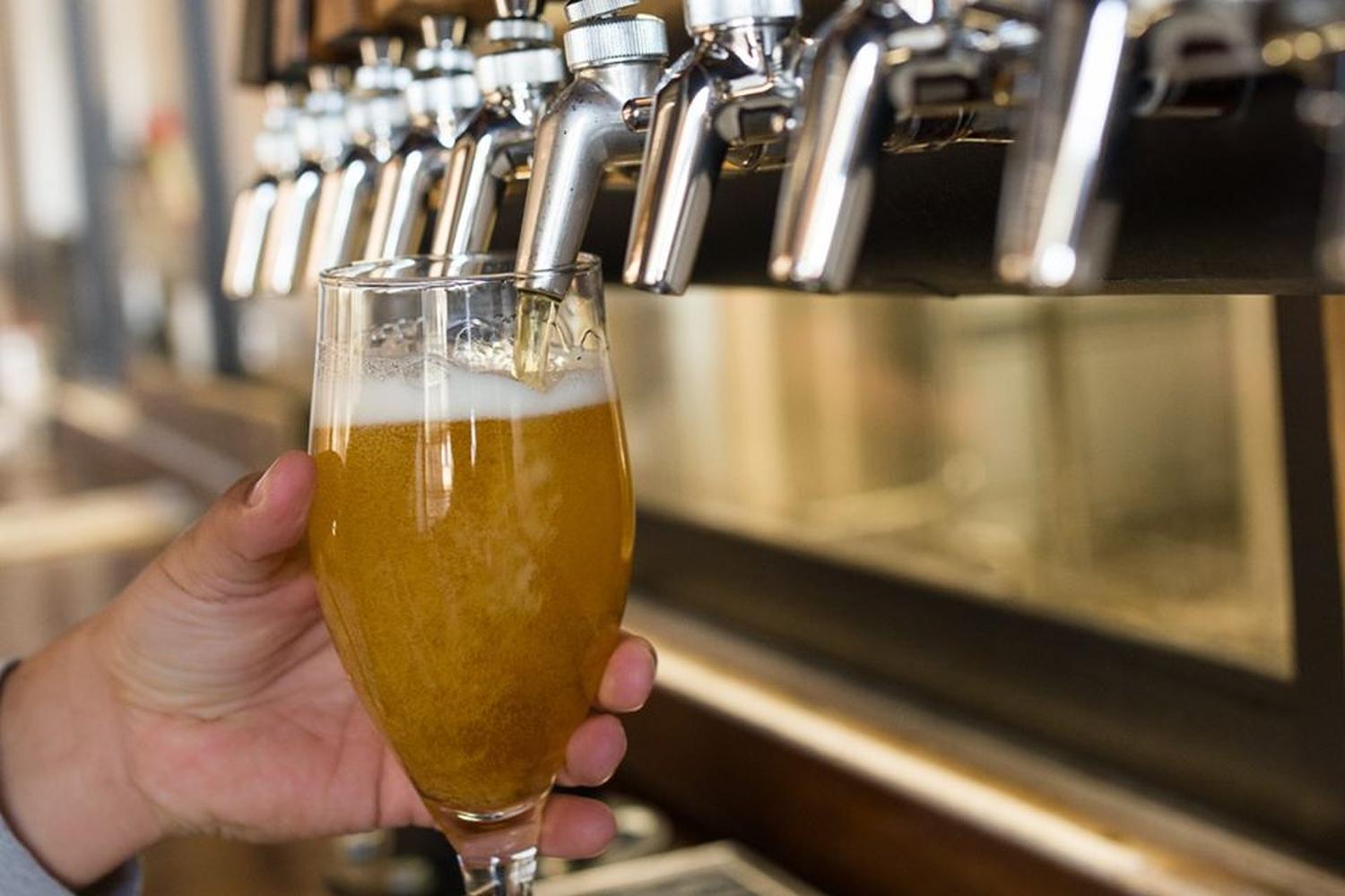 Crooked Thumb Brewery 3