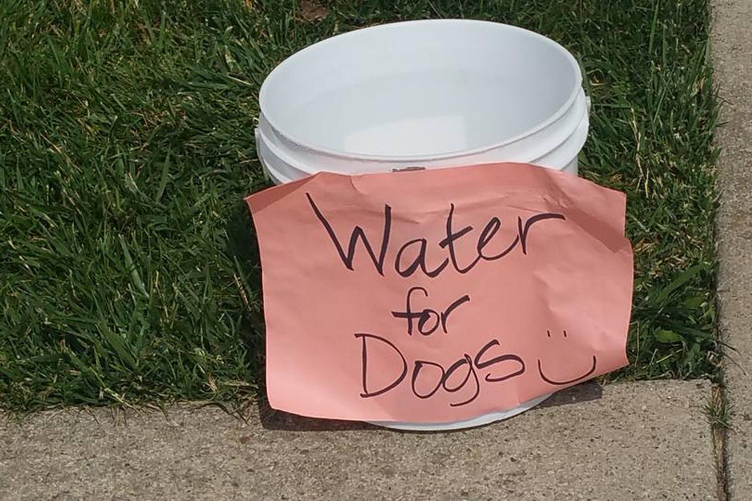 Blue Moon Canoe & Kayak 4