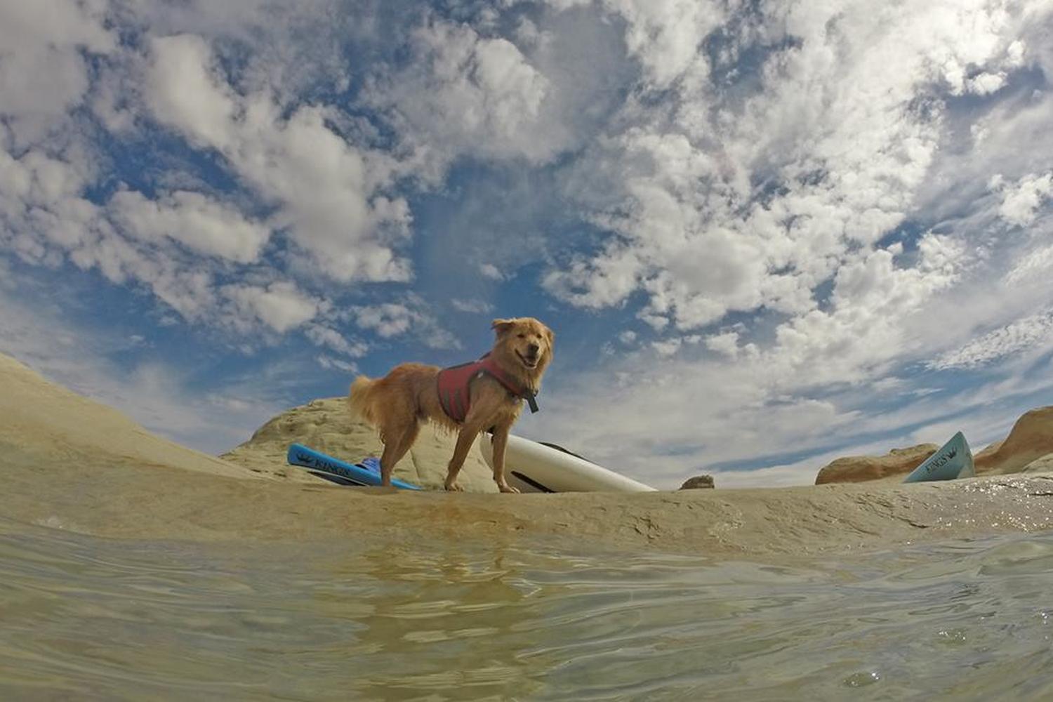 Lake Powell Paddleboards and Kayaks 4