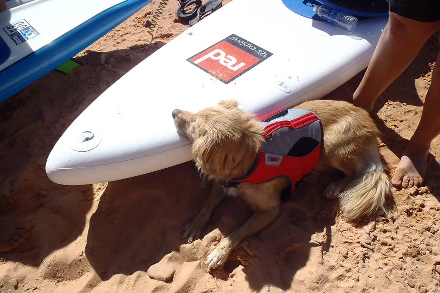 Lake Powell Paddleboards and Kayaks 6