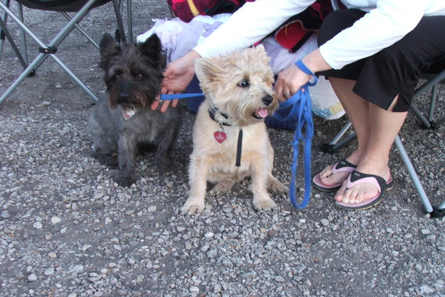 Skyview Drive-In Movie Theater 5