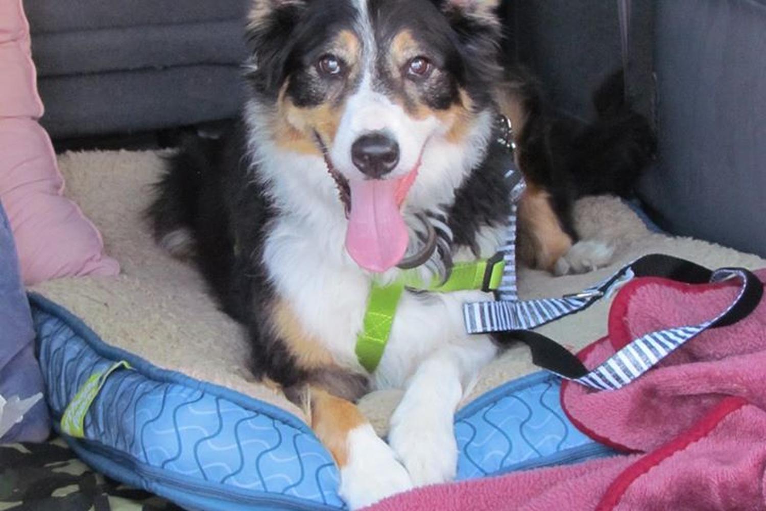 Skyview Drive-In Movie Theater 3