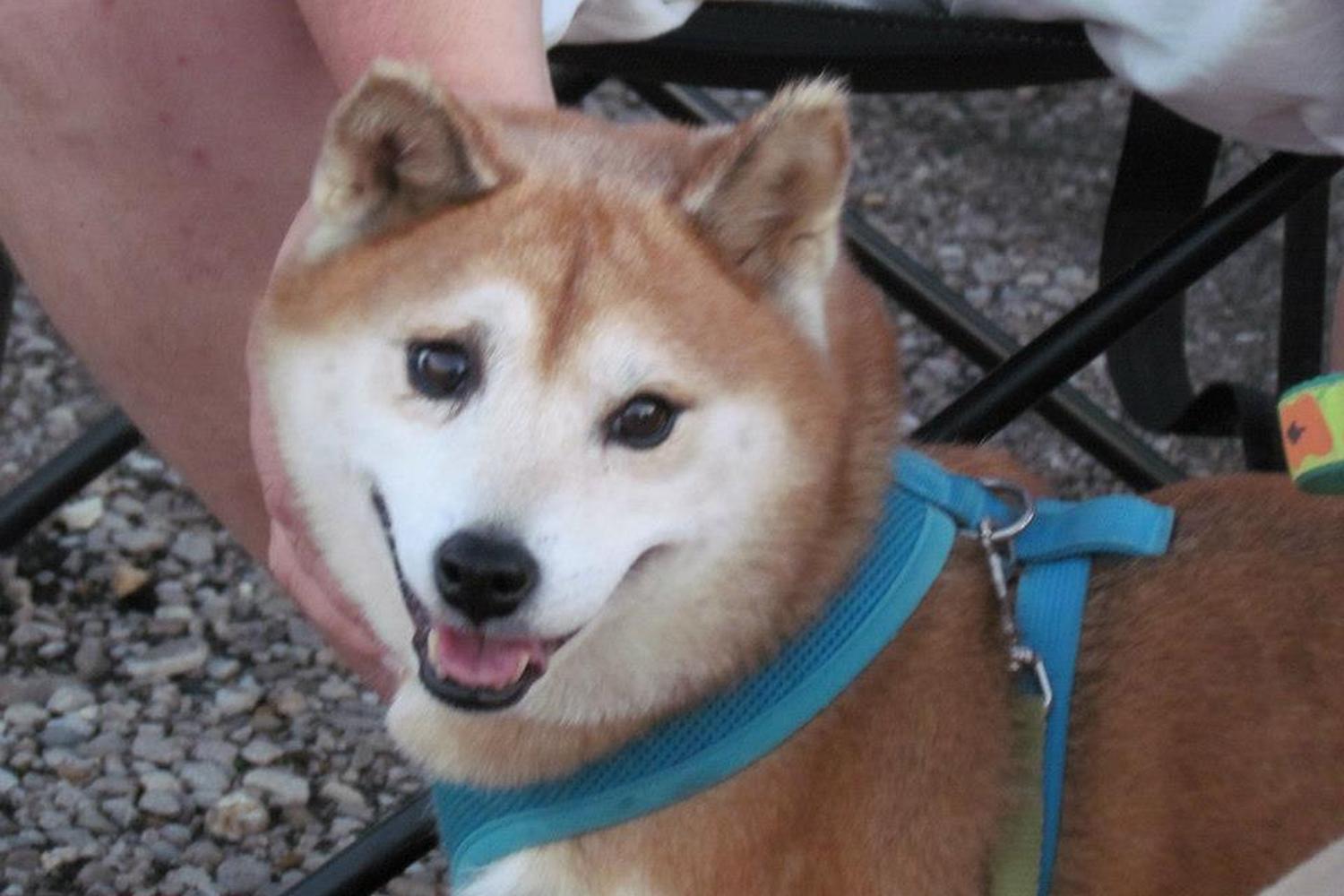 Skyview Drive-In Movie Theater 1