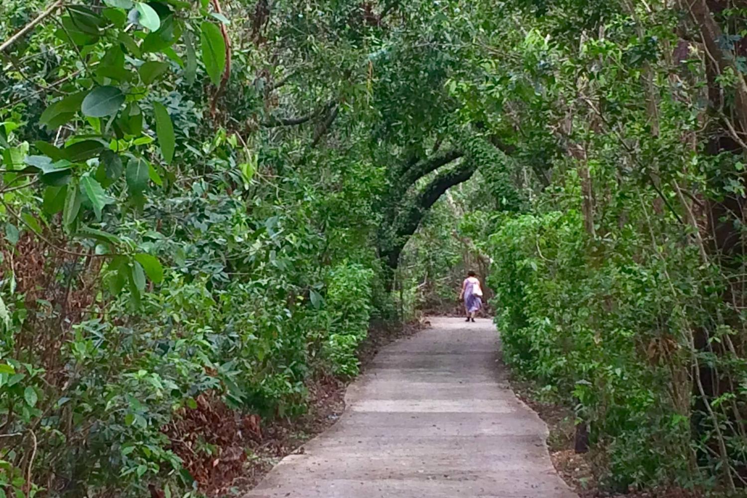 Barnacle Historic State Park 2