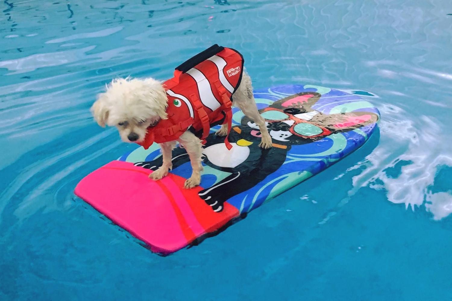 The Canine Country Club 4