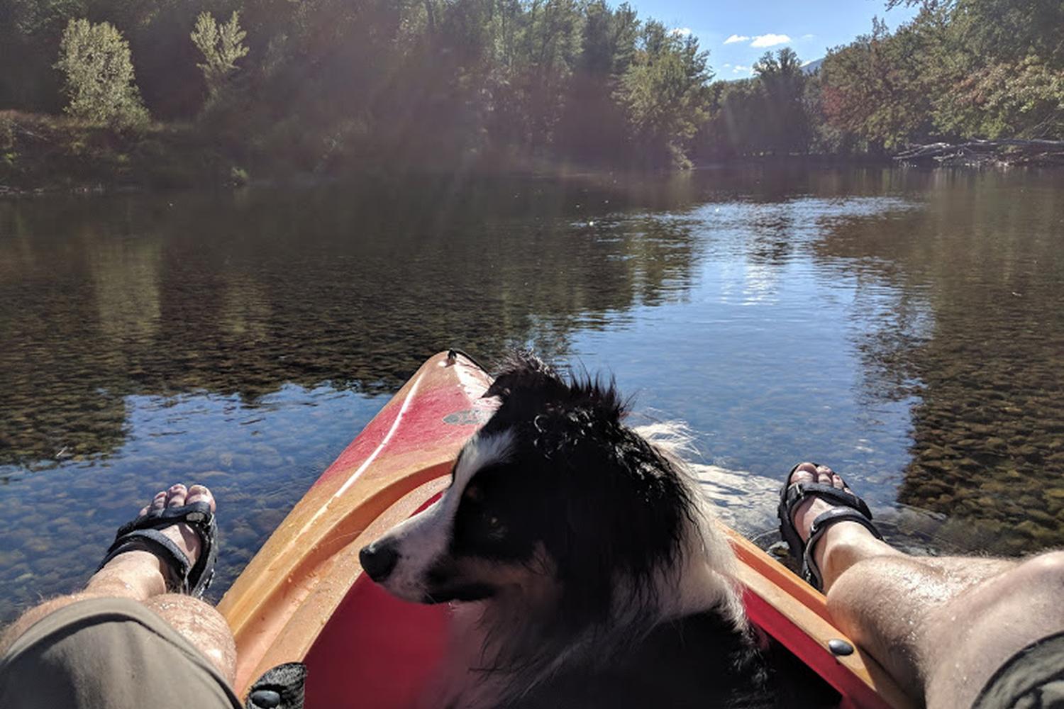 Saco Canoe Rentals Company 1