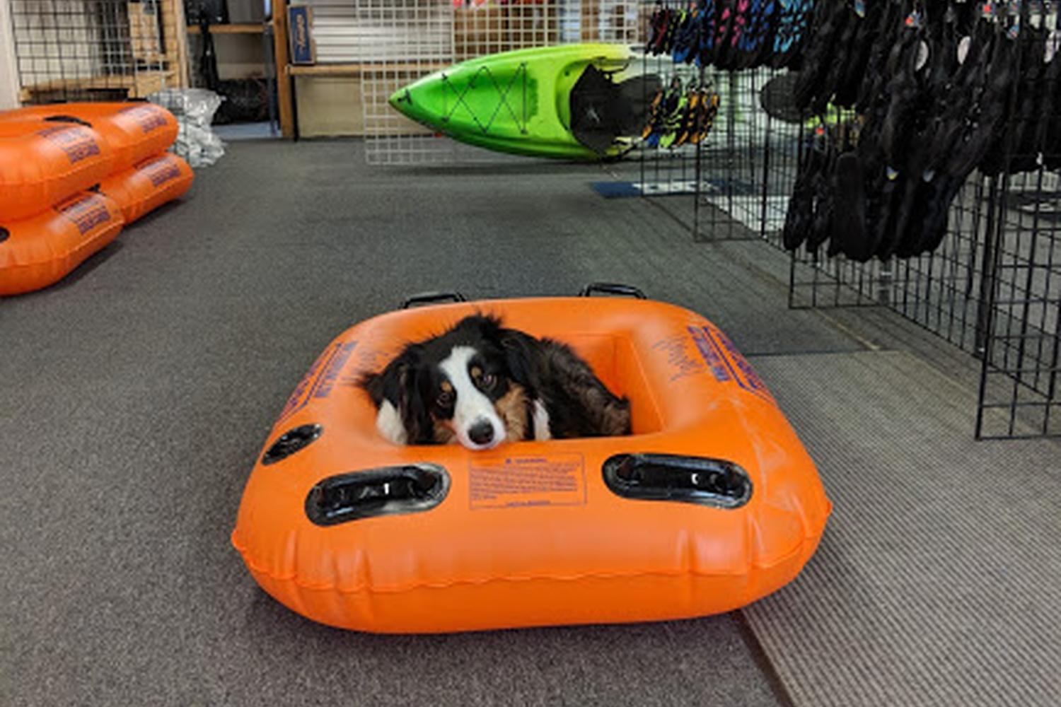 Saco Canoe Rentals Company 6