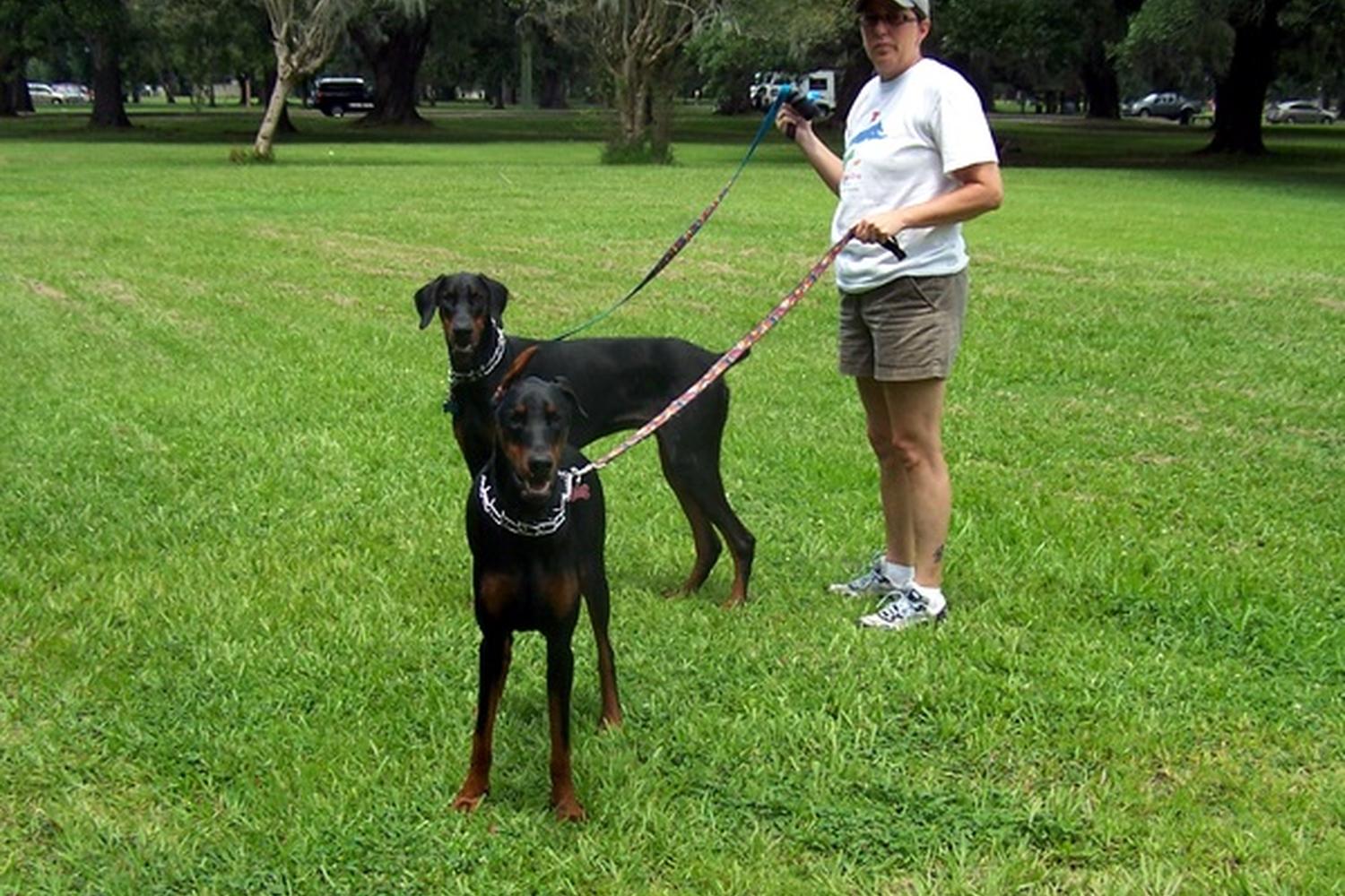 Uptown Girls Pet Services 6