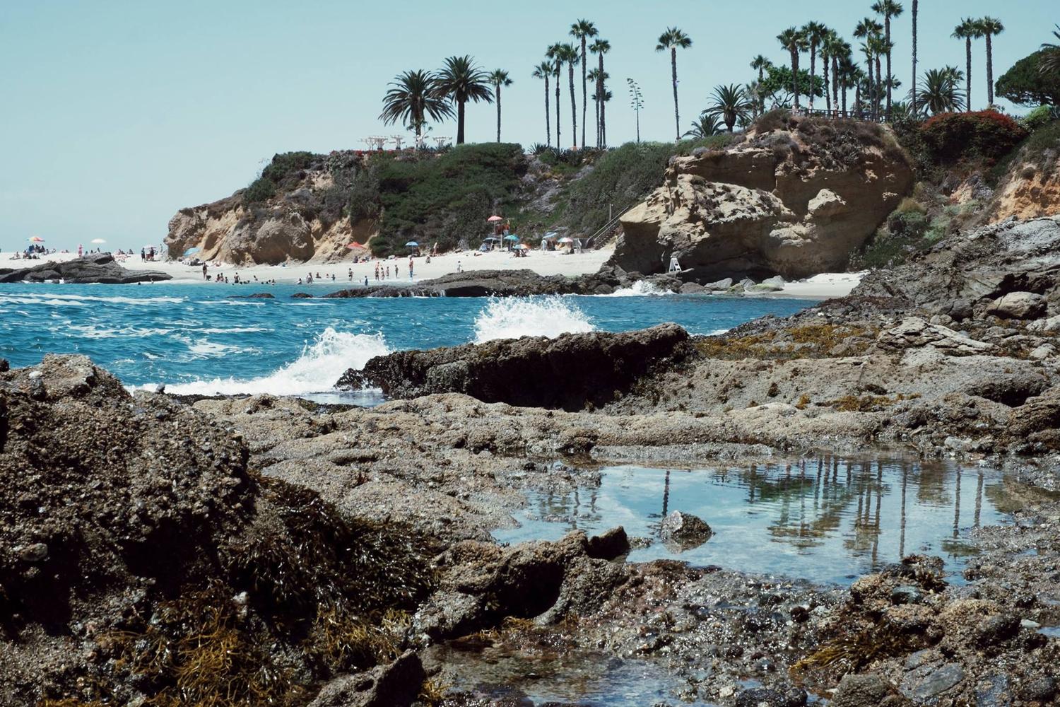 Treasure Island Park 5