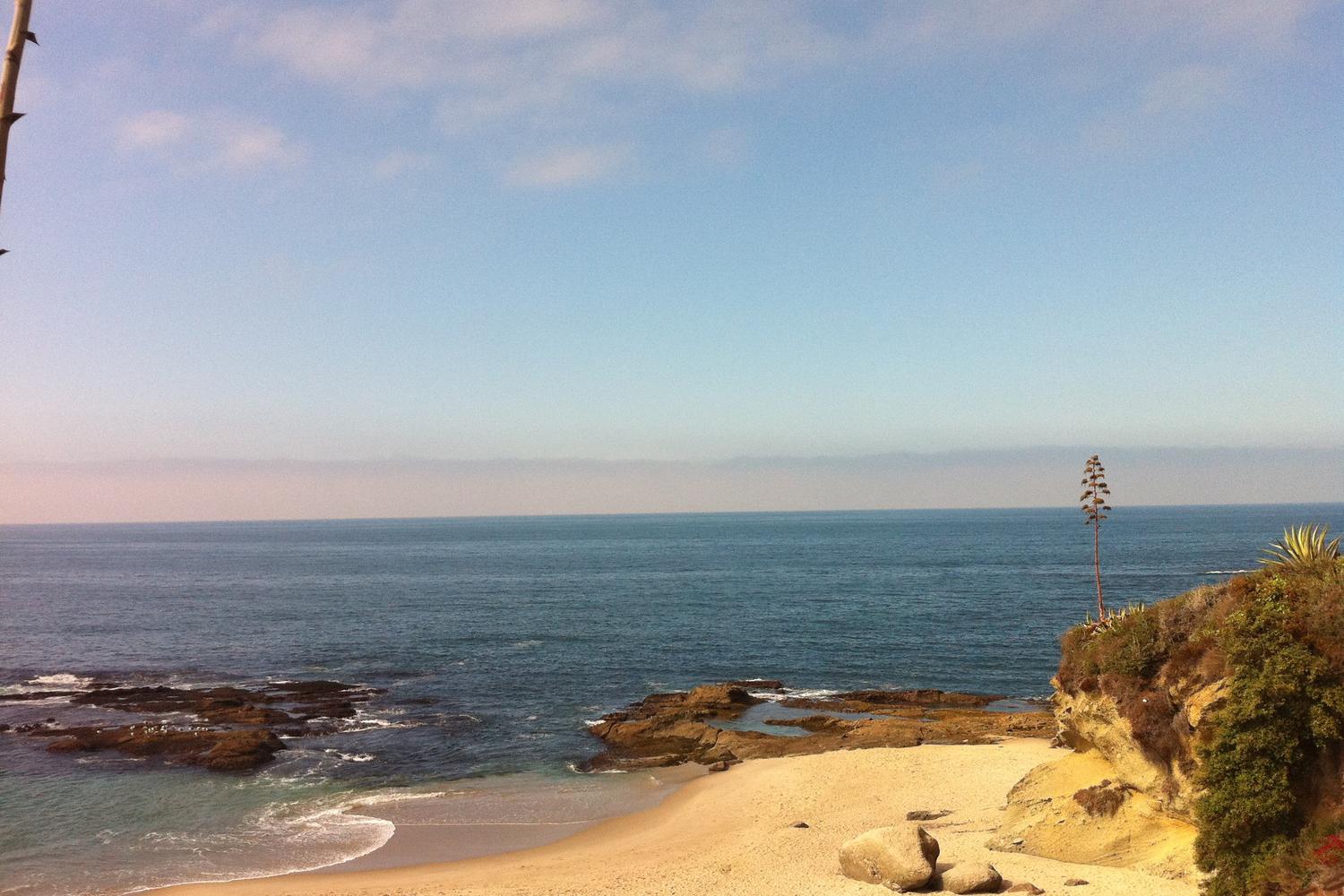 Treasure Island Park 1