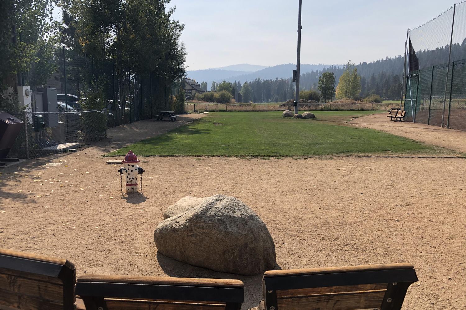 Tahoe City Dog Park 1
