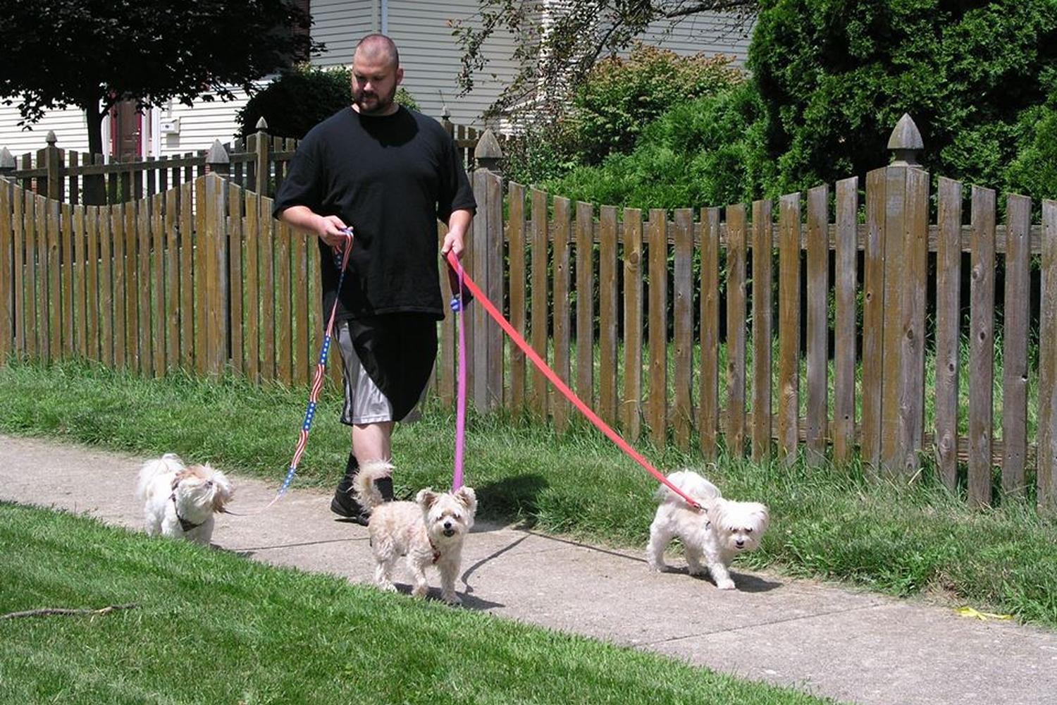 Snaggle Foot Dog Walks and Pet Care 3