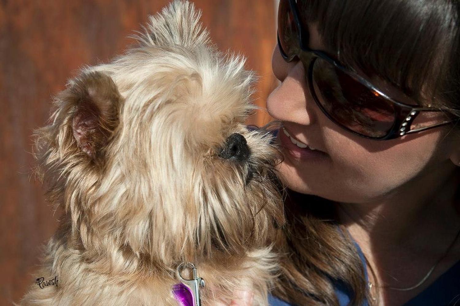 Pup 'n' Pony Luv Pet Sitting  0