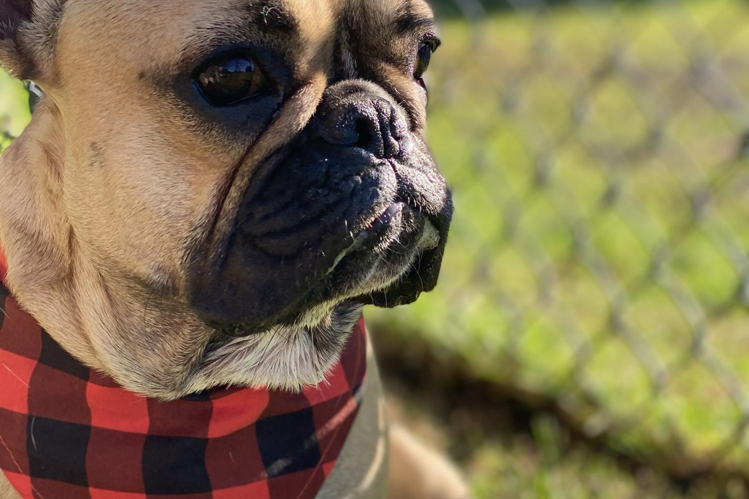 South Hills Park 0
