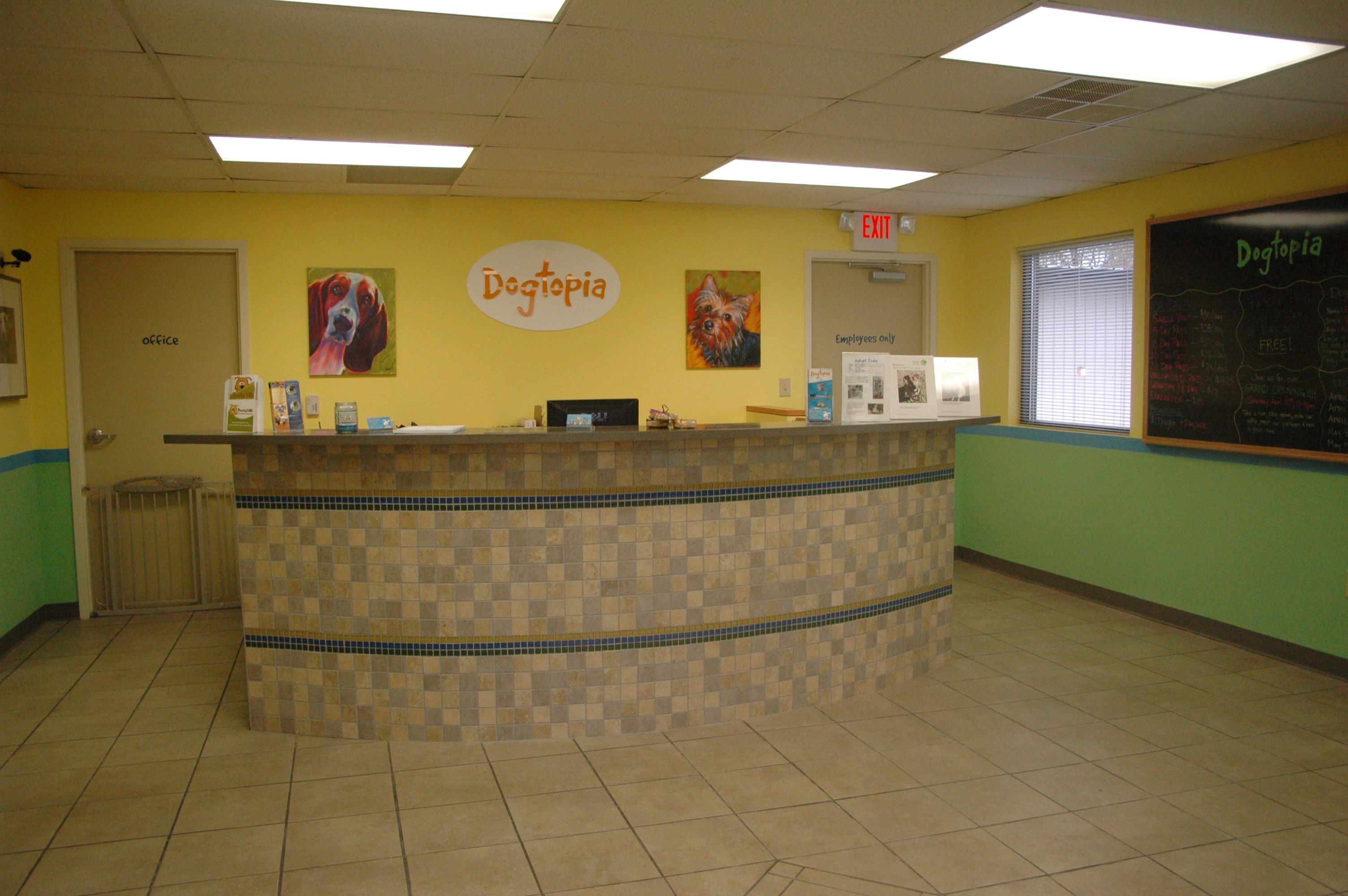 Dogtopia of Charlotte 2