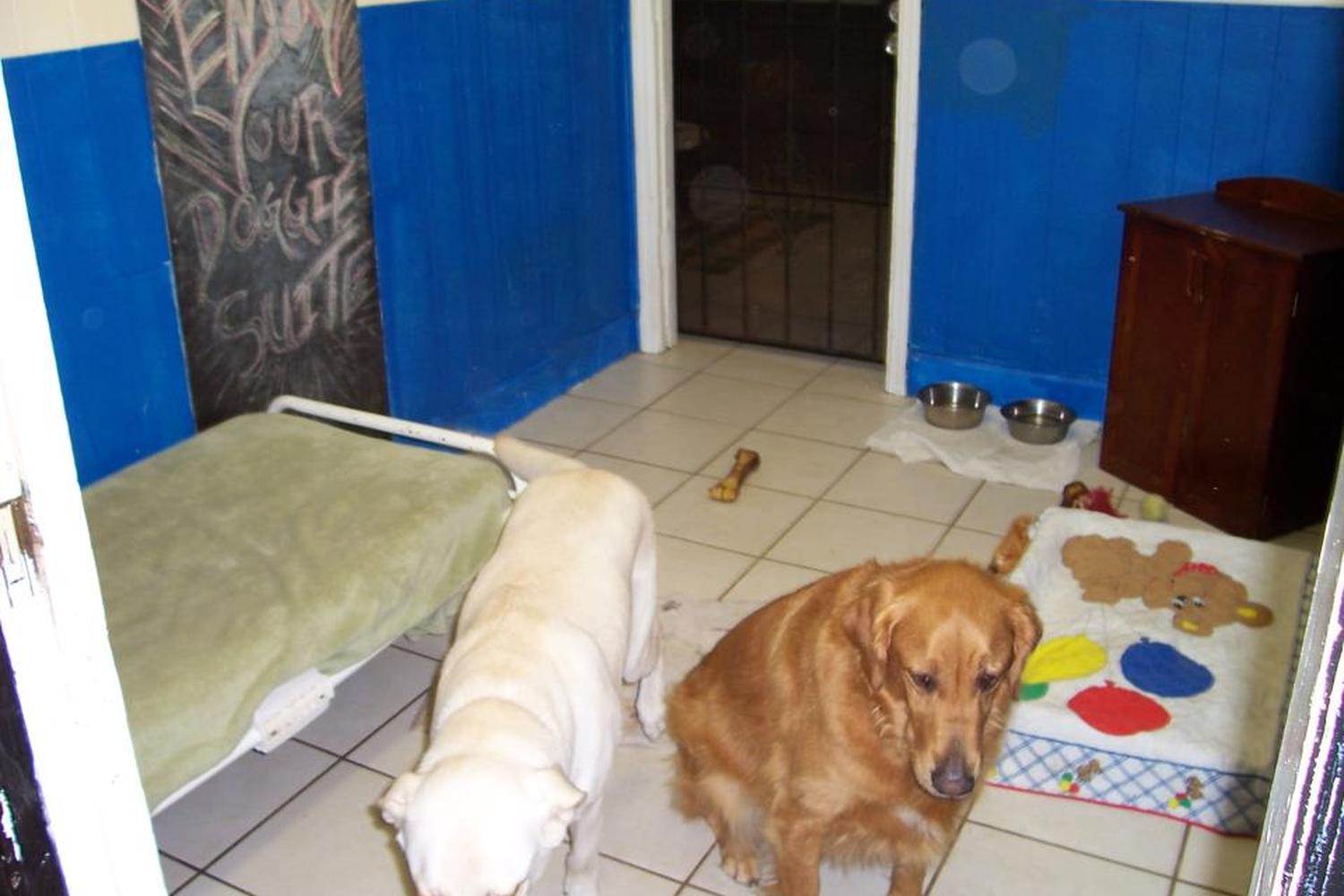 Animal Resort & Spa, LLC 2