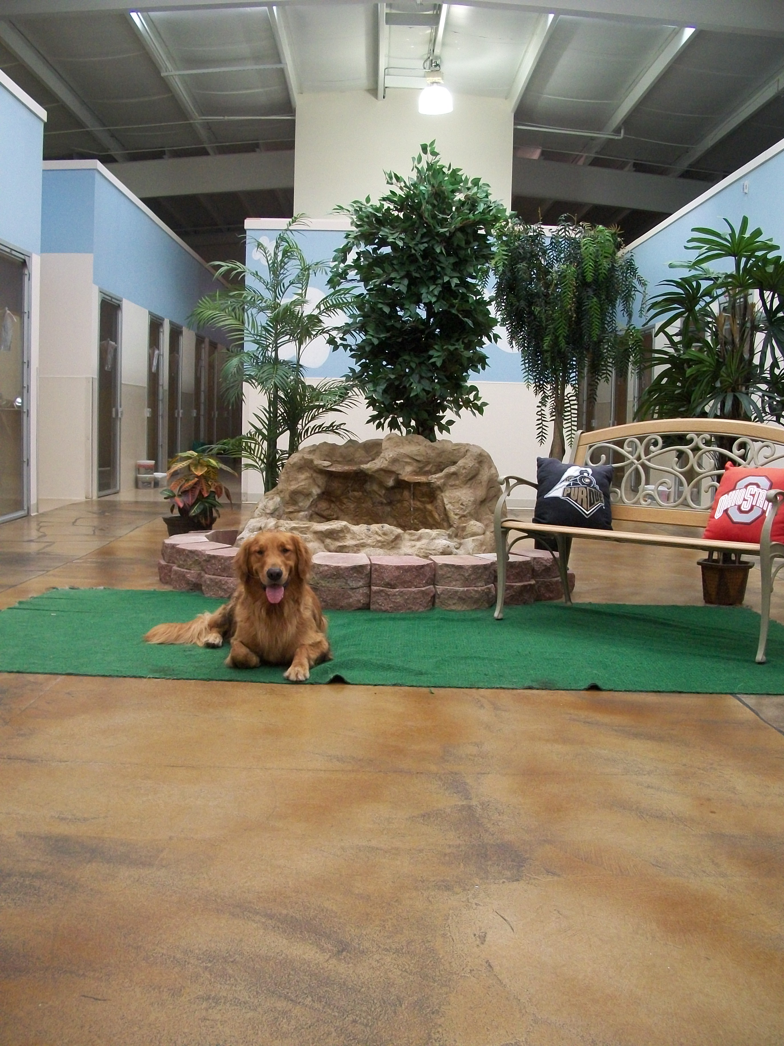Pampered Pets Bed & Biscuit 0