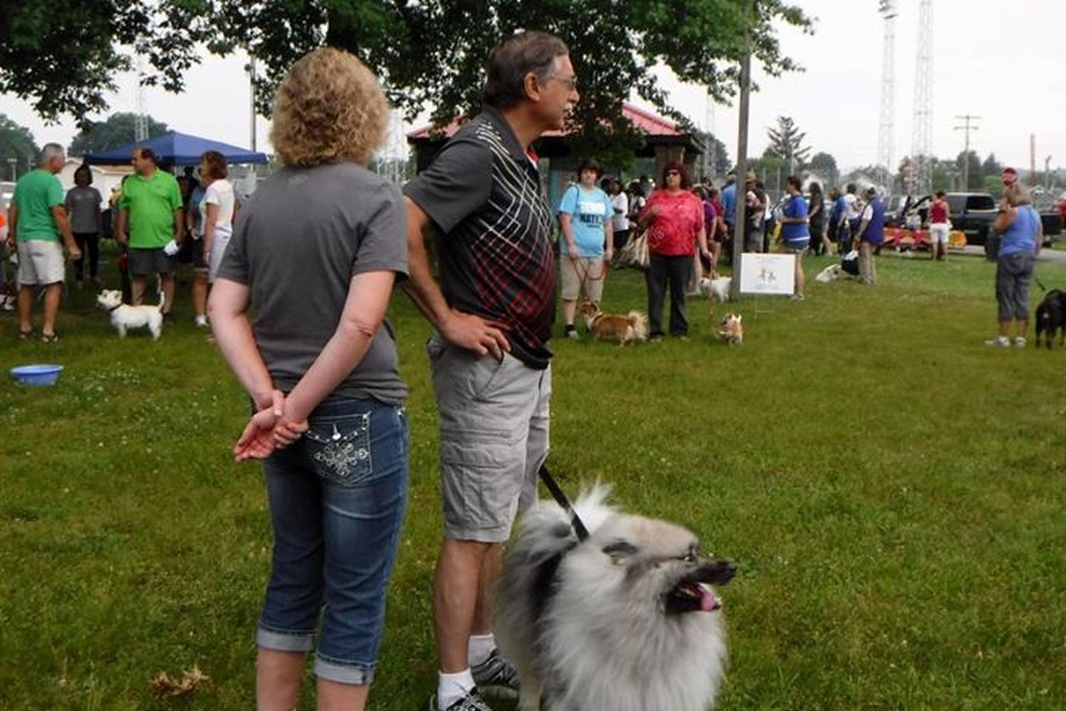 Boxers Bed & Biscuits 2