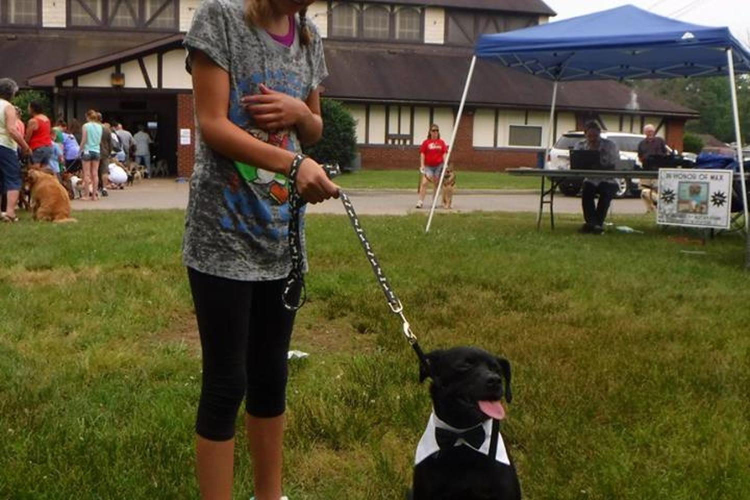 Boxers Bed & Biscuits 0