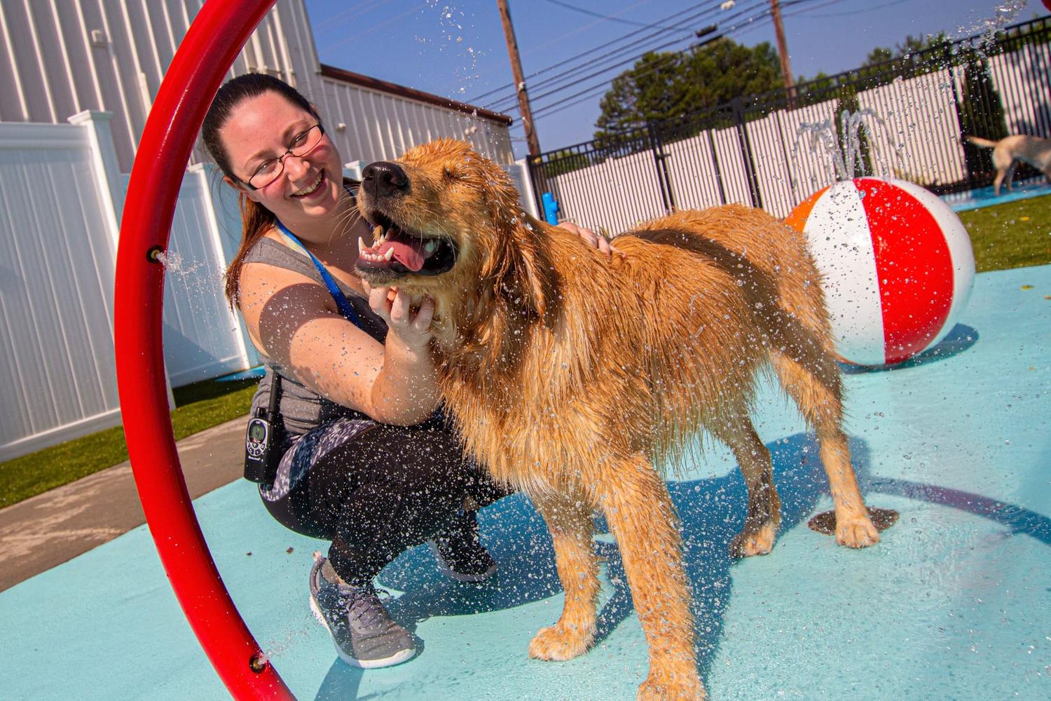 Puptown Charlotte 3
