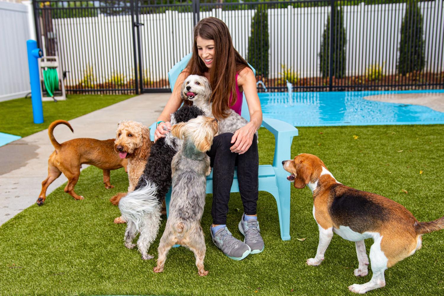 Puptown Charlotte 5