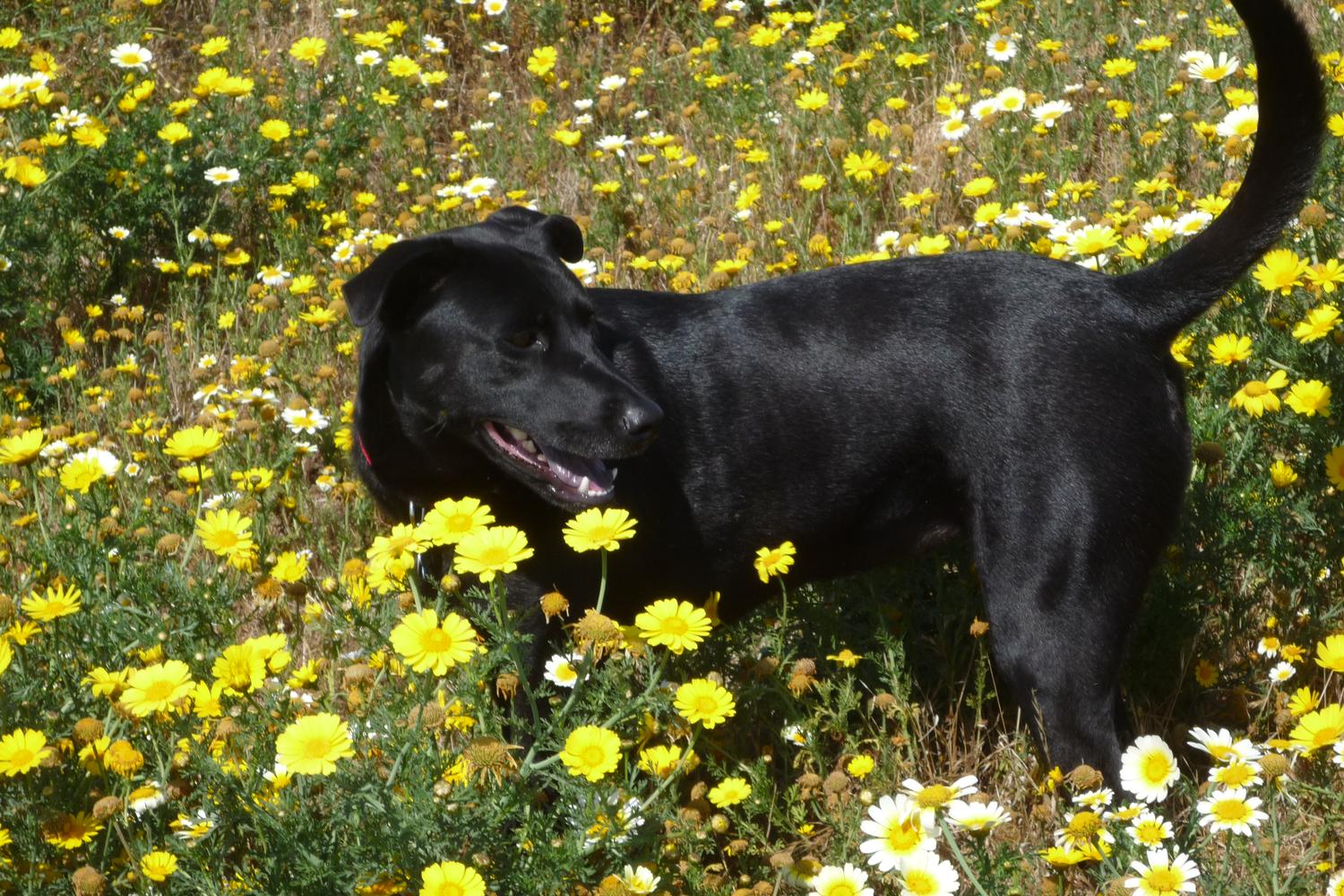 Fiesta Island Park 5