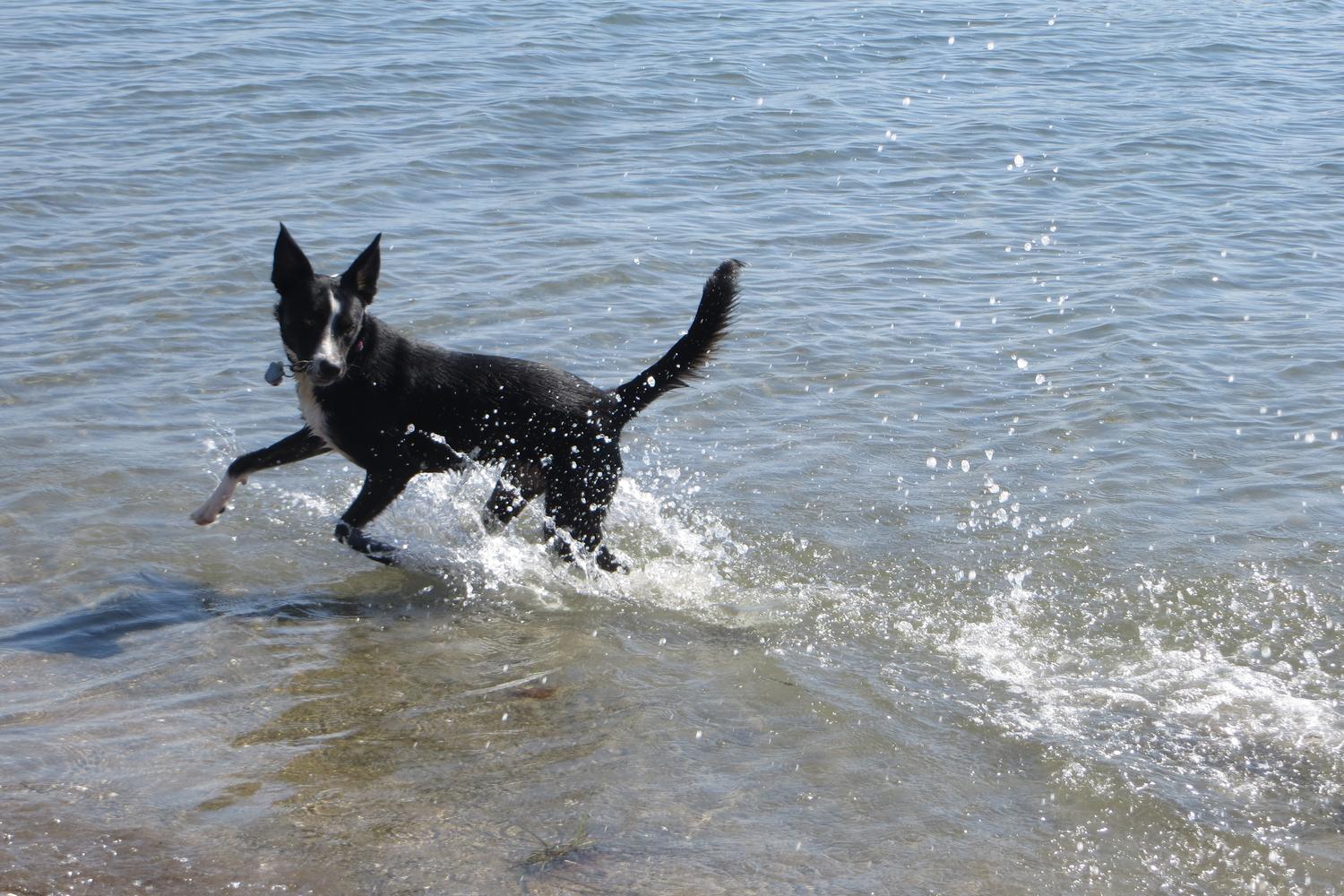 Fiesta Island Park 18