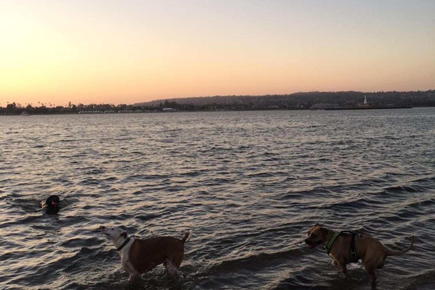 Fiesta Island Park 20