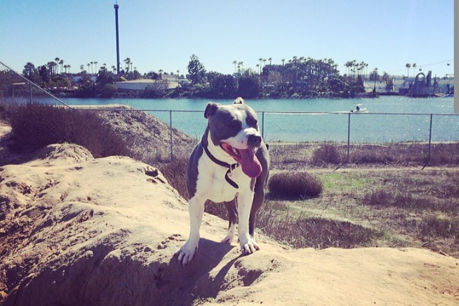 Fiesta Island Park 13