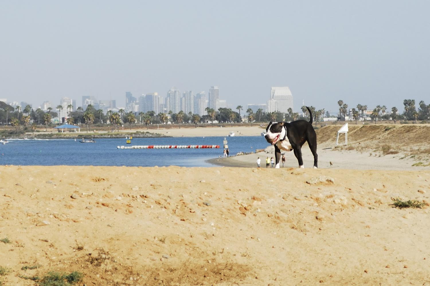 Fiesta Island Park 17
