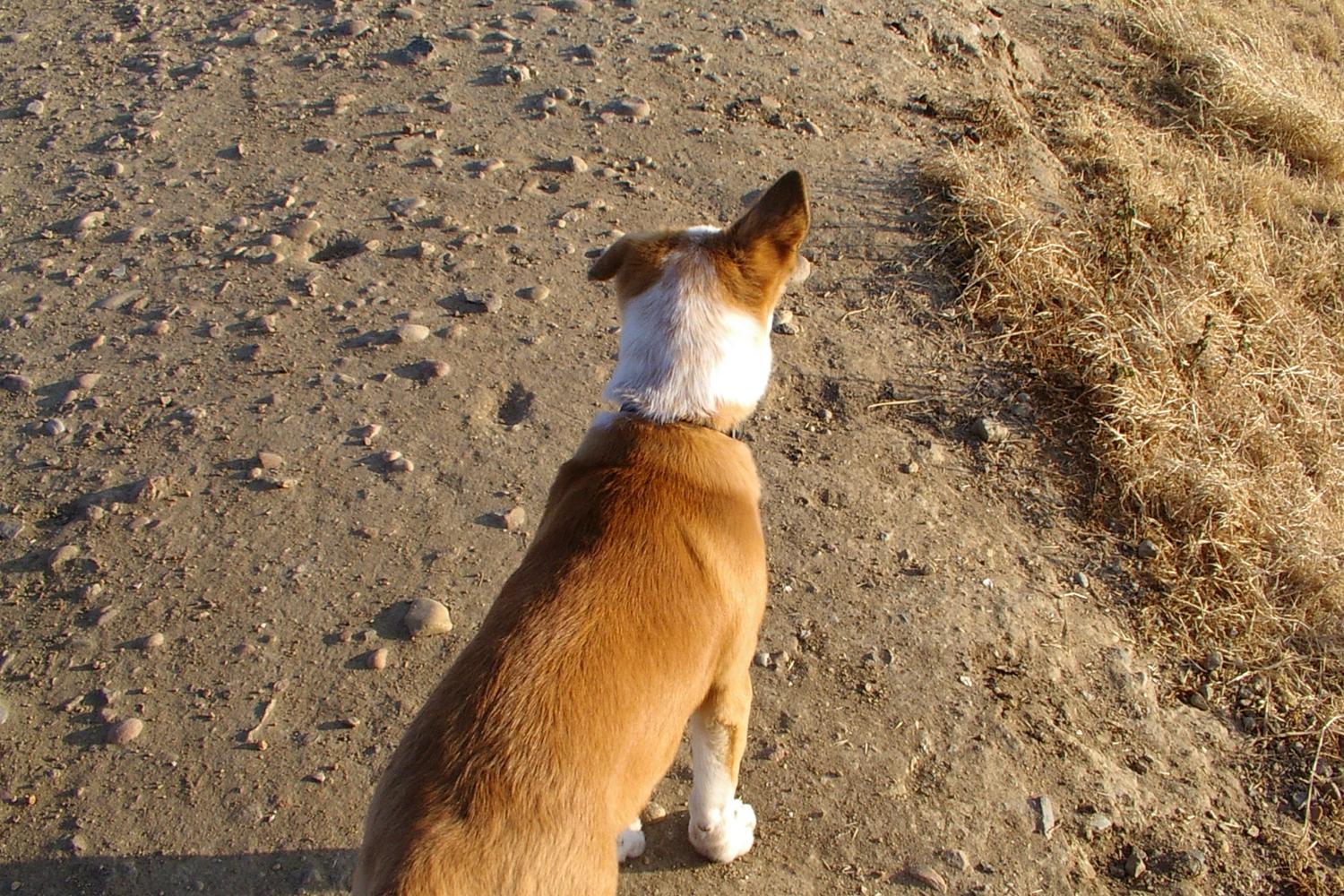 Fiesta Island Park 2