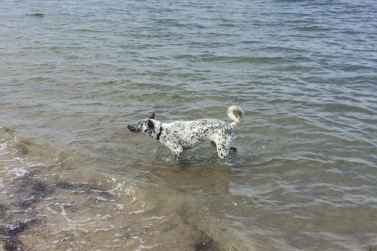 Fiesta Island Park 19