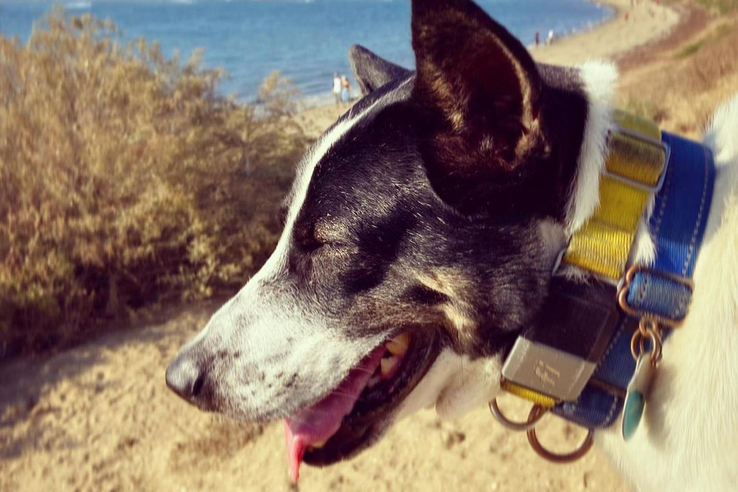 Fiesta Island Park 23